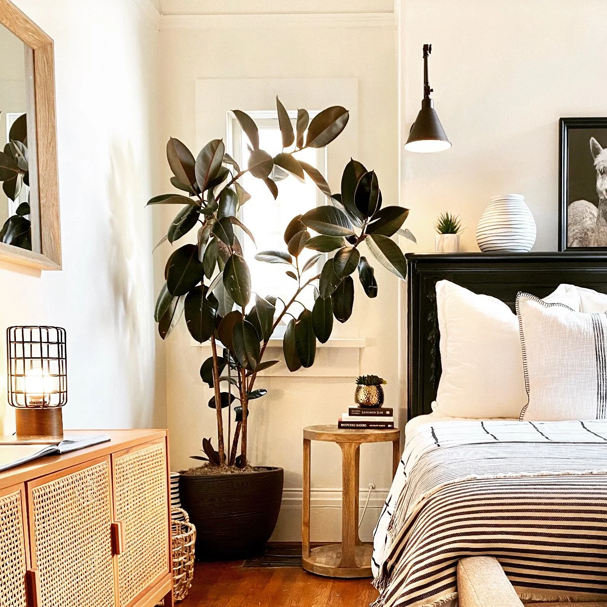 Staging portfolio
